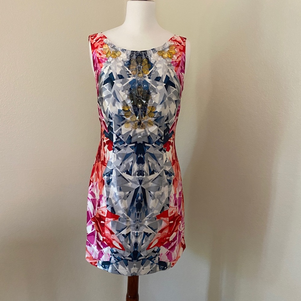Shelli Segal Cocktail Dress